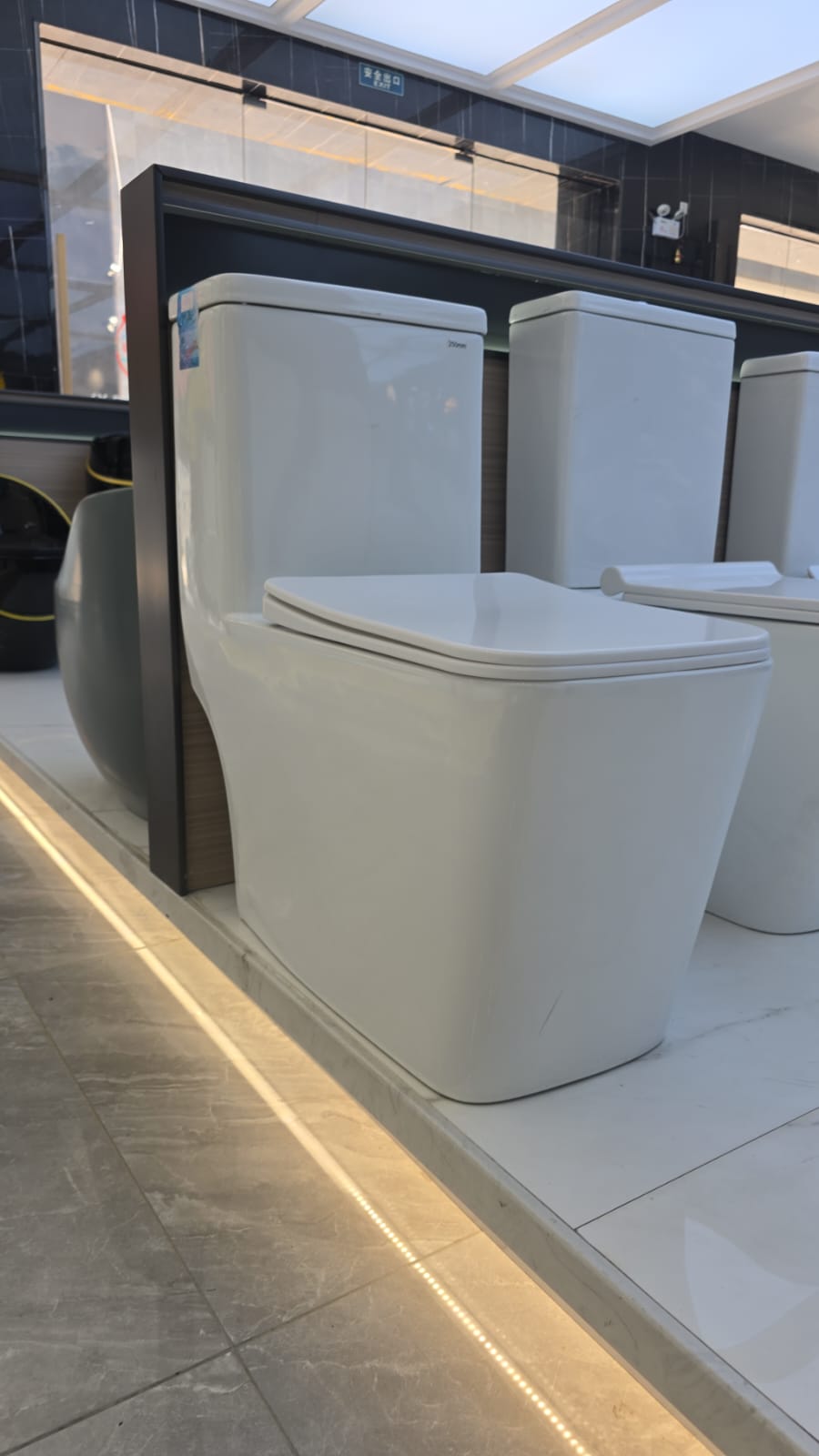 Monolith Floor-Mount WC